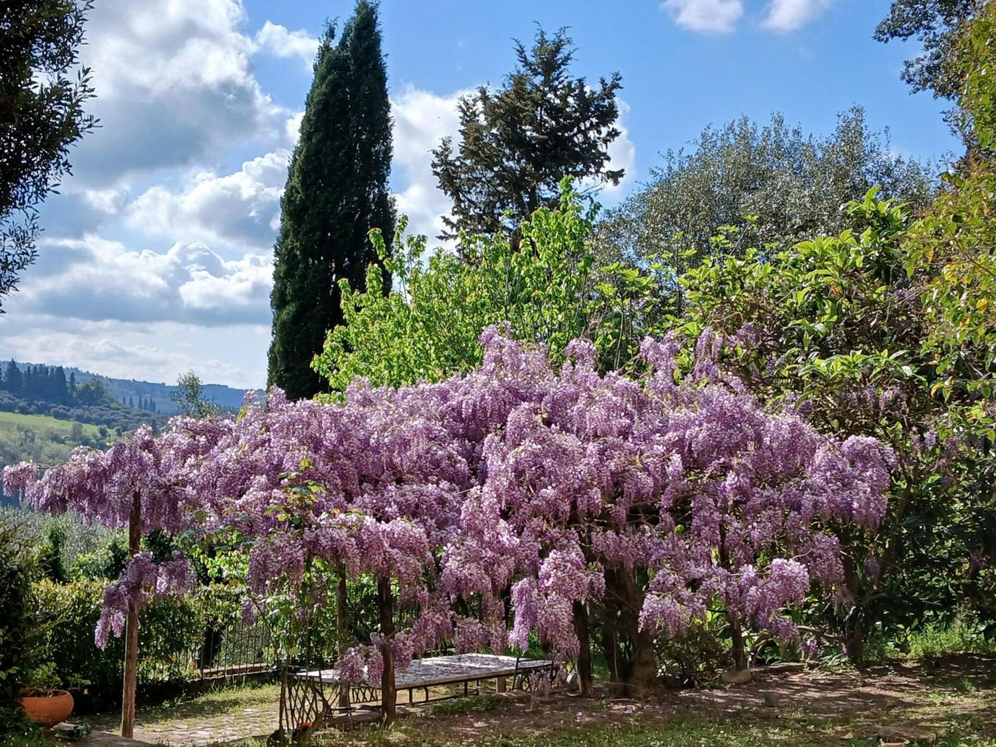 Agriturismo Villa Gorgognano Чертальдо Экстерьер фото